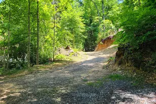 51 Bird Creek Estates Rd, Black Mountain, NC 28711 - Photo 18
