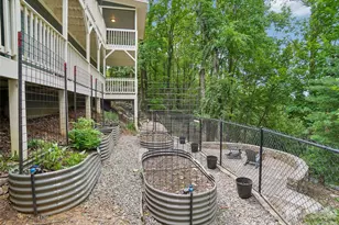 10 Chestnut Top Cir, Mills River, NC 28759 - Photo 46