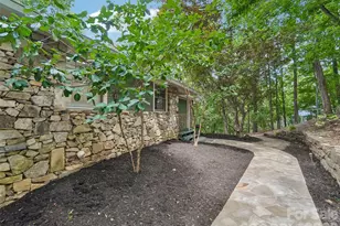 10 Chestnut Top Cir, Mills River, NC 28759 - Photo 4