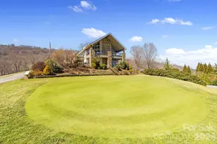 10 Chestnut Top Cir, Mills River, NC 28759 - Photo 46