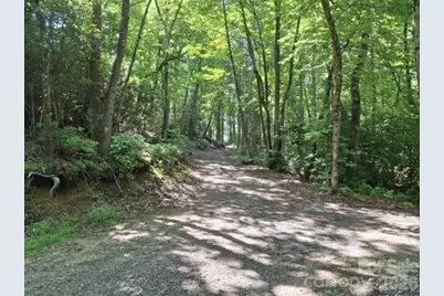 630 Shumont Road, Black Mountain, NC 28711 - Photo 2