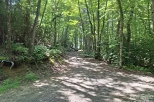 630 Shumont Rd, Black Mountain, NC 28711 - Photo 2