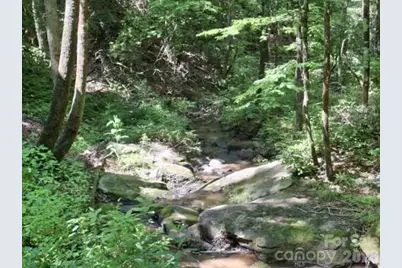 630 Shumont Road, Black Mountain, NC 28711 - Photo 6
