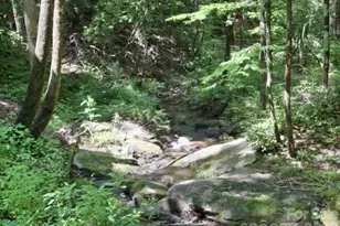 630 Shumont Rd, Black Mountain, NC 28711 - Photo 6