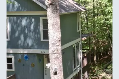 630 Shumont Road, Black Mountain, NC 28711 - Photo 24