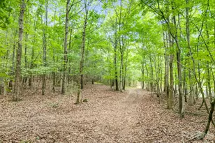 1151 Trull Hinson Rd, Wingate, NC 28174 - Photo 32
