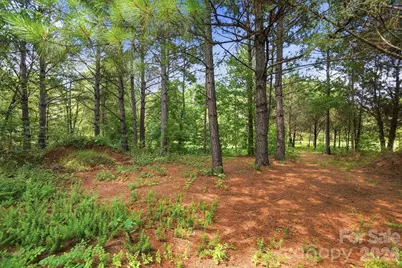 650 Daves Road, York, SC 29745 - Photo 44