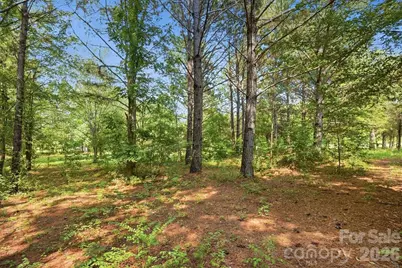 650 Daves Road, York, SC 29745 - Photo 42