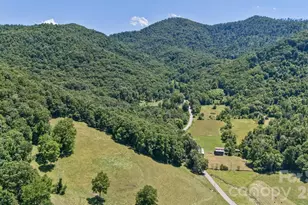27 Spuds Ln, Weaverville, NC 28787 - Photo 42