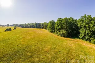 475 Joe Bostic Rd, Bostic, NC 28018 - Photo 28