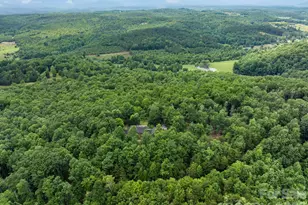 295 Wilderness Ridge, Rutherfordton, NC 28139 - Photo 48