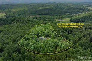 295 Wilderness Ridge, Rutherfordton, NC 28139 - Photo 46