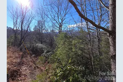 81 Lucerne Drive, Canton, NC 28716 - Photo 8