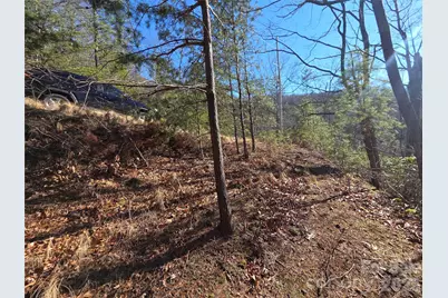 81 Lucerne Drive, Canton, NC 28716 - Photo 12