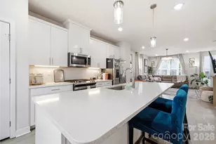 9116 Mallard Mls Dr, Charlotte, NC 28262 - Photo 6