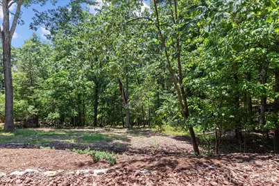 172 Lawson's Lookout None, Denton, NC 27239 - Photo 42
