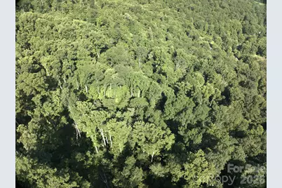 Tbd Ox Creek Road, Weaverville, NC 28787 - Photo 2