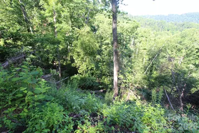 Tbd Ox Creek Road, Weaverville, NC 28787 - Photo 14