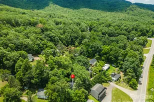 14 Border St, Black Mountain, NC 28711 - Photo 42