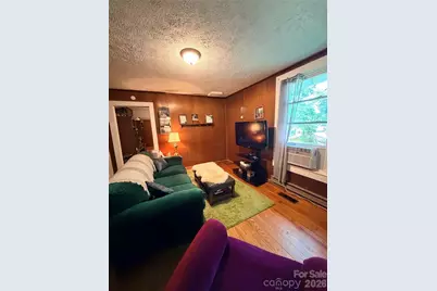 14 Border Street, Black Mountain, NC 28711 - Photo 26