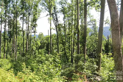 00 Ox Creek Crest Lane, Weaverville, NC 28787 - Photo 20