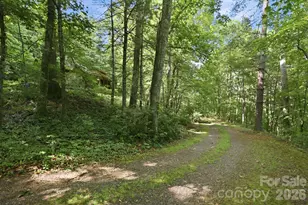 3 Parkview Dr Ext, Asheville, NC 28805 - Photo 36