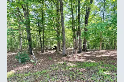 185 Dulaney Drive, Nebo, NC 28761 - Photo 6