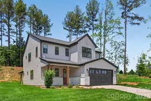 14029 Roosevelt Grv Dr, Huntersville, NC 28078 - Photo 2