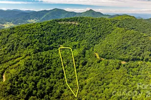0000 High Rock View Dr, Canton, NC 28716 - Photo 1