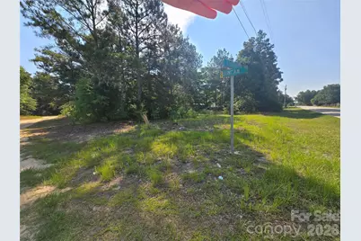 134 Duncan Road, Hamlet, NC 28345 - Photo 2