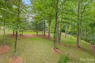 813 Beech Tree Pl, Hendersonville, NC 28792 - Photo 30