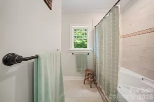 813 Beech Tree Pl, Hendersonville, NC 28792 - Photo 16