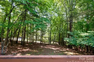 766 Skyland Dr, Pisgah Forest, NC 28768 - Photo 6