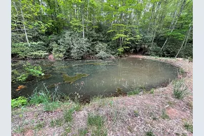 700 Copperhead Cove, Sylva, NC 28779 - Photo 18