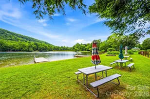 233 Tanglewood Ln, Saluda, NC 28773 - Photo 46