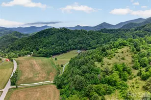 227 Black Bear Cove, Clyde, NC 28721 - Photo 46