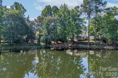 136 Rose Tree Lane, Fort Mill, SC 29715 - Photo 34