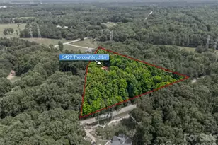 3429 Thoroughbred Ln, York, SC 29745 - Photo 46