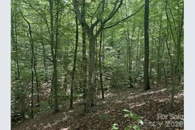316 318 Cane Creek Mountain Road, Union Mills, NC 28167 - Photo 10