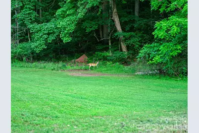 232 Langford Branch Road, Burnsville, NC 28714 - Photo 22
