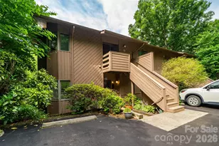 305 Piney Mountain Dr, Asheville, NC 28805 - Photo 24