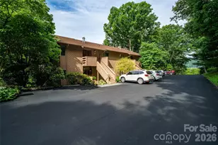 305 Piney Mountain Dr, Asheville, NC 28805 - Photo 22