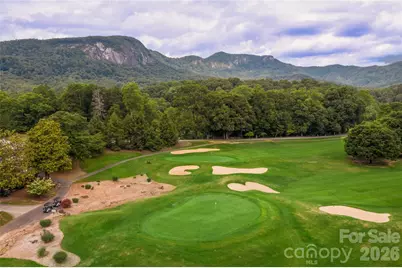 136 Rumbling Bald Road, Lake Lure, NC 28746 - Photo 44