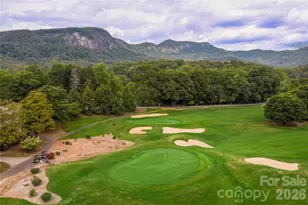 136 Rumbling Bald Rd, Lake Lure, NC 28746 - Photo 44
