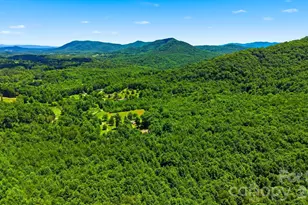95 Field Stream Dr, Marion, NC 28752 - Photo 10