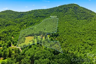 95 Field Stream Dr, Marion, NC 28752 - Photo 4