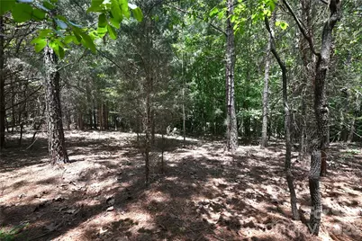 136 Oak Point Lane #36, Stony Point, NC 28678 - Photo 2