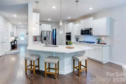 13033 Cinnamon Fern Lane, Charlotte, NC 28227 - Photo 10