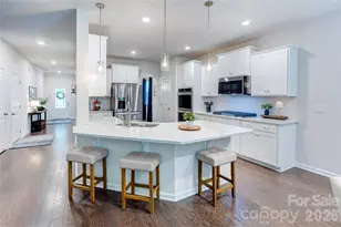 13033 Cinnamon Fern Ln, Charlotte, NC 28227 - Photo 10
