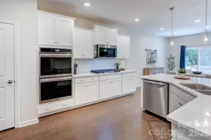 13033 Cinnamon Fern Ln, Charlotte, NC 28227 - Photo 12